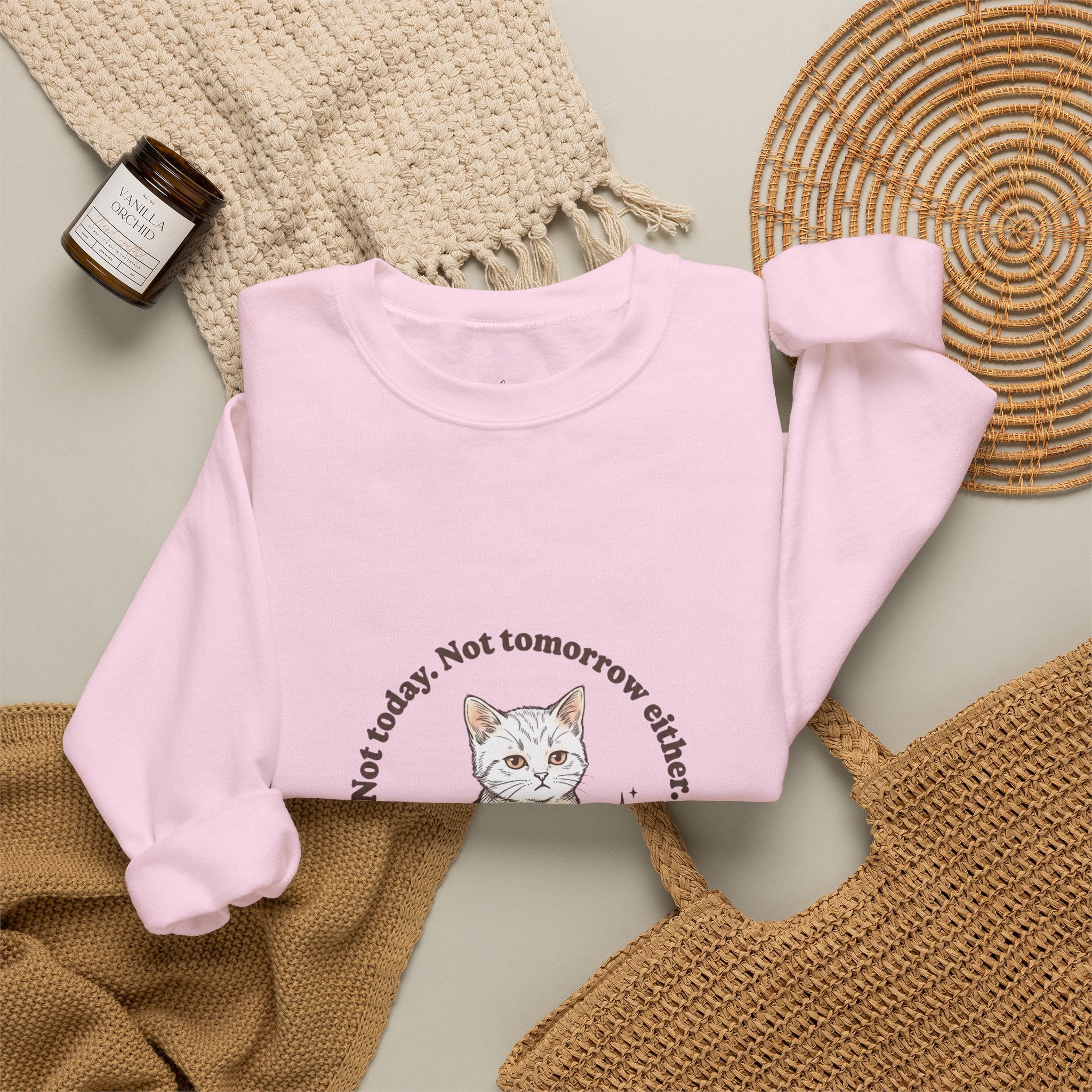 Rage Consumes Me Kitten Sweatshirt | Vintage Minimalist Cat, Ironic Emotion