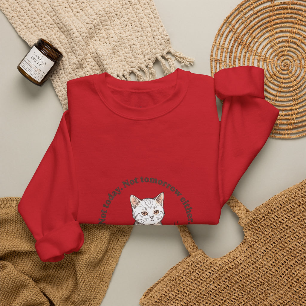 Rage Consumes Me Kitten Sweatshirt | Vintage Minimalist Cat, Ironic Emotion