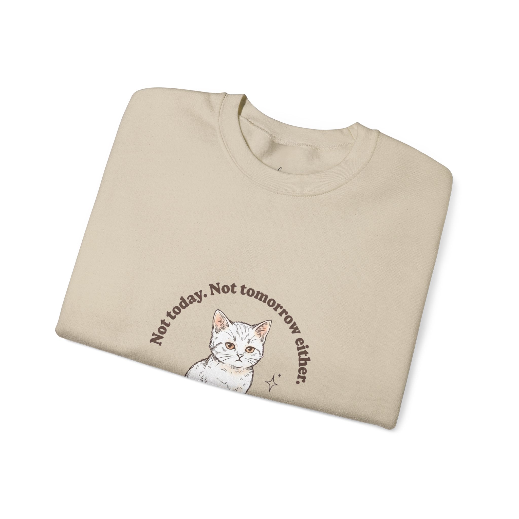 Rage Consumes Me Kitten Sweatshirt | Vintage Minimalist Cat, Ironic Emotion