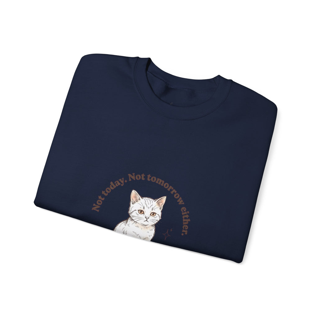 Rage Consumes Me Kitten Sweatshirt | Vintage Minimalist Cat, Ironic Emotion