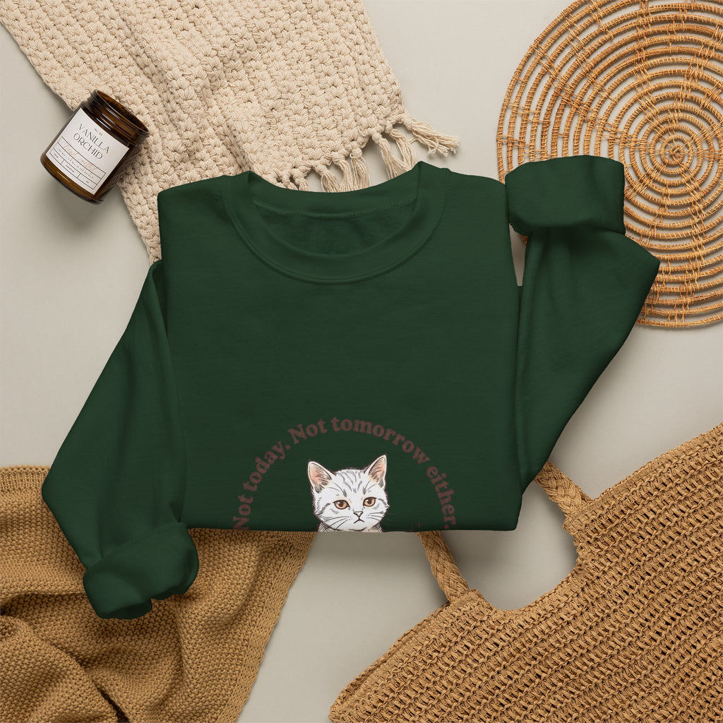 Rage Consumes Me Kitten Sweatshirt | Vintage Minimalist Cat, Ironic Emotion