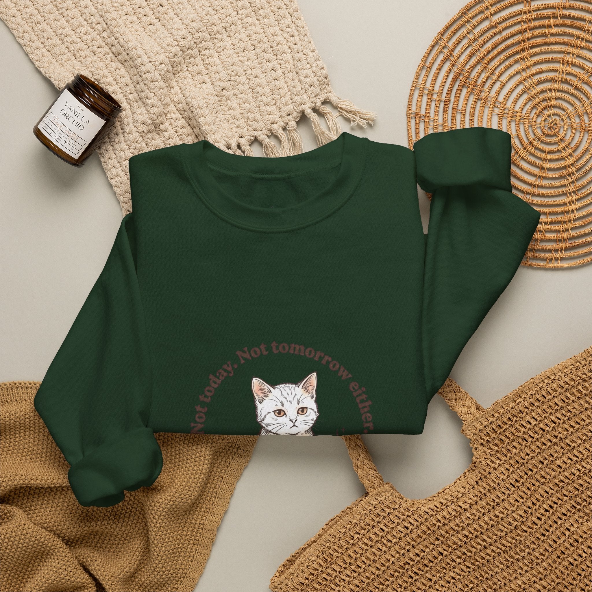 Rage Consumes Me Kitten Sweatshirt | Vintage Minimalist Cat, Ironic Emotion