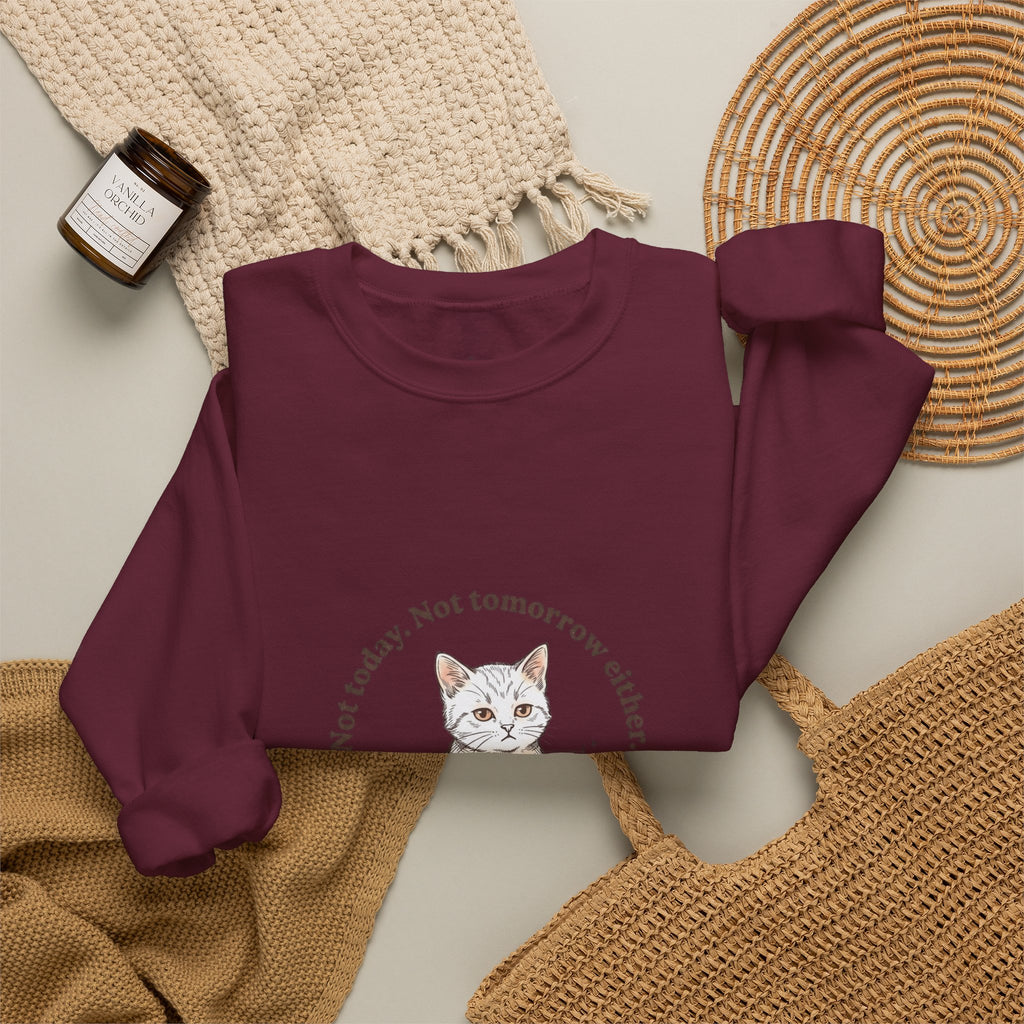 Rage Consumes Me Kitten Sweatshirt | Vintage Minimalist Cat, Ironic Emotion