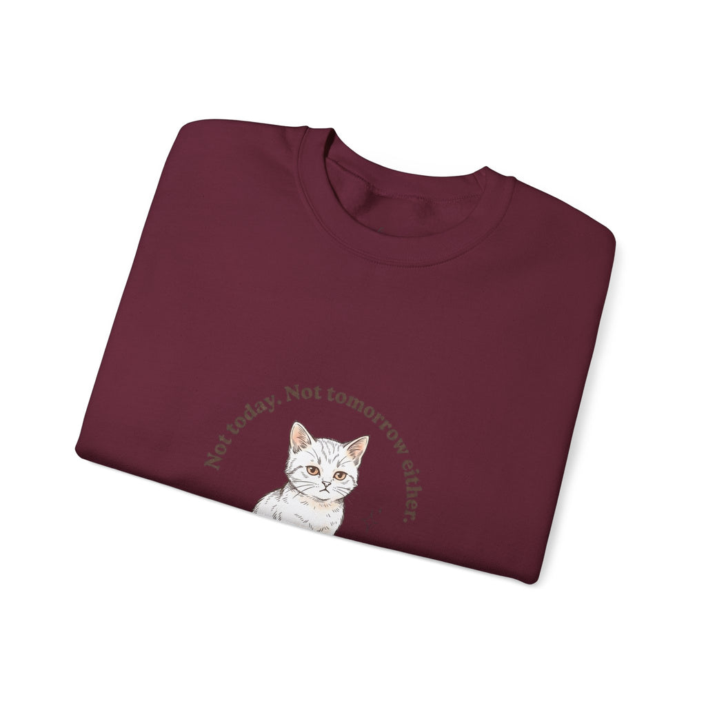 Rage Consumes Me Kitten Sweatshirt | Vintage Minimalist Cat, Ironic Emotion