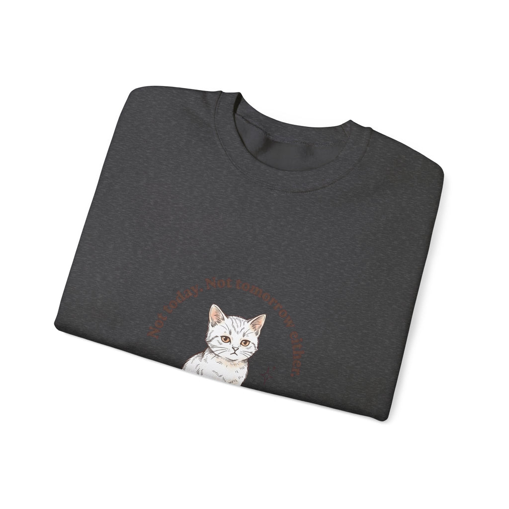 Rage Consumes Me Kitten Sweatshirt | Vintage Minimalist Cat, Ironic Emotion