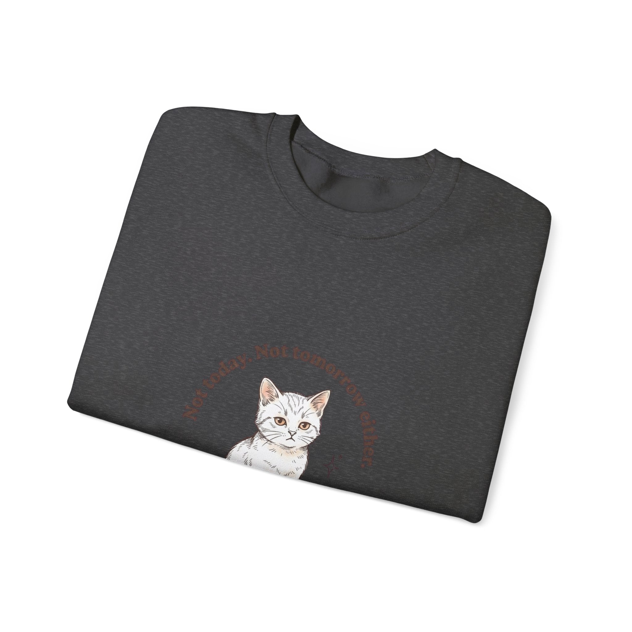 Rage Consumes Me Kitten Sweatshirt | Vintage Minimalist Cat, Ironic Emotion