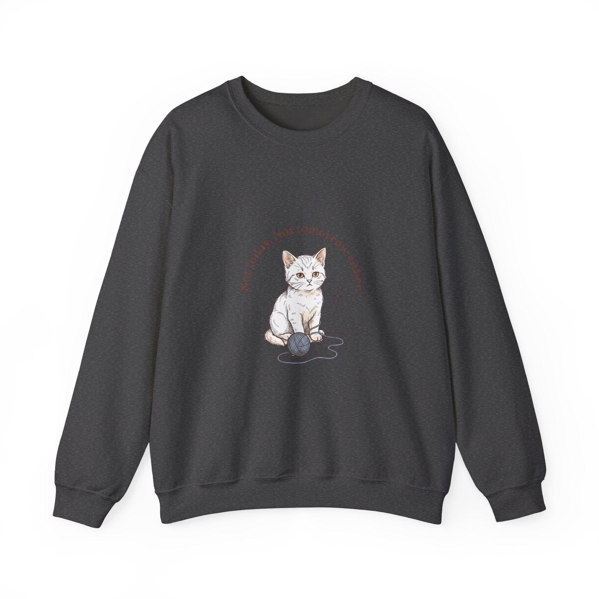 Rage Consumes Me Kitten Sweatshirt | Vintage Minimalist Cat, Ironic Emotion