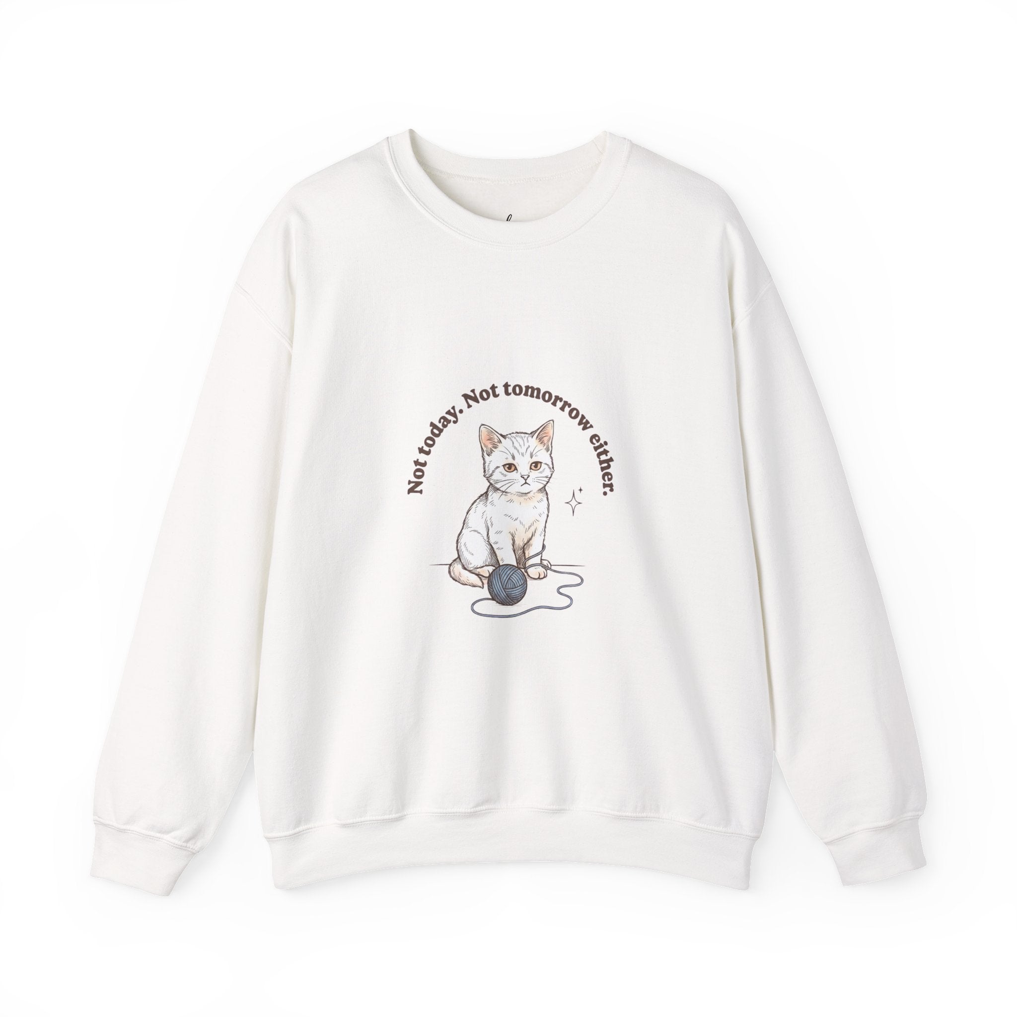 Rage Consumes Me Kitten Sweatshirt | Vintage Minimalist Cat, Ironic Emotion
