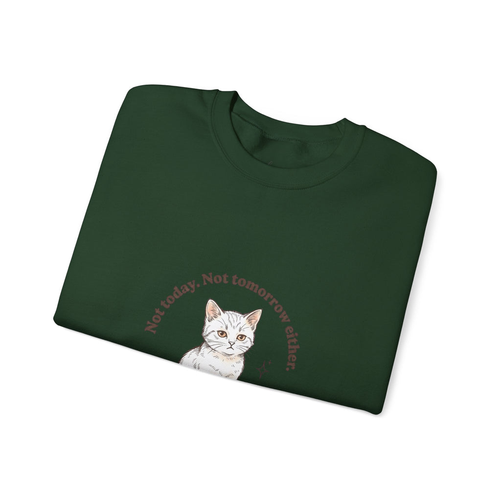 Rage Consumes Me Kitten Sweatshirt | Vintage Minimalist Cat, Ironic Emotion