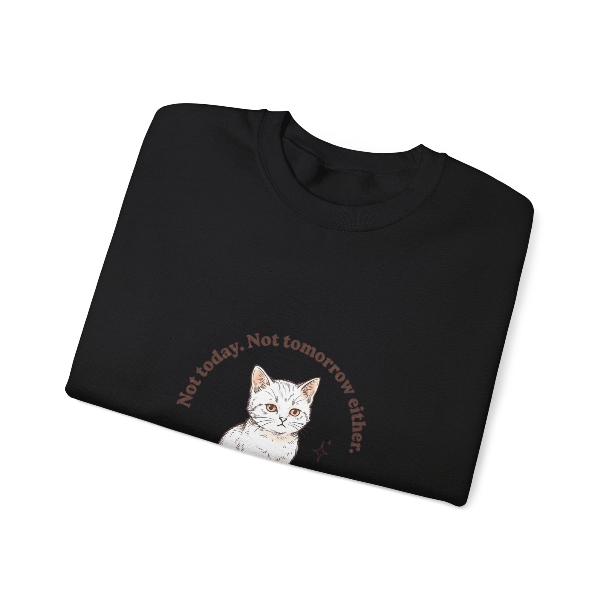 Rage Consumes Me Kitten Sweatshirt | Vintage Minimalist Cat, Ironic Emotion