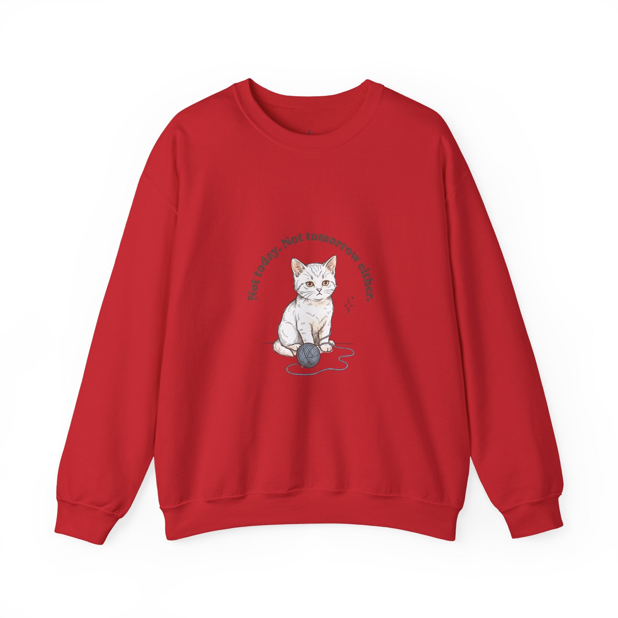 Rage Consumes Me Kitten Sweatshirt | Vintage Minimalist Cat, Ironic Emotion