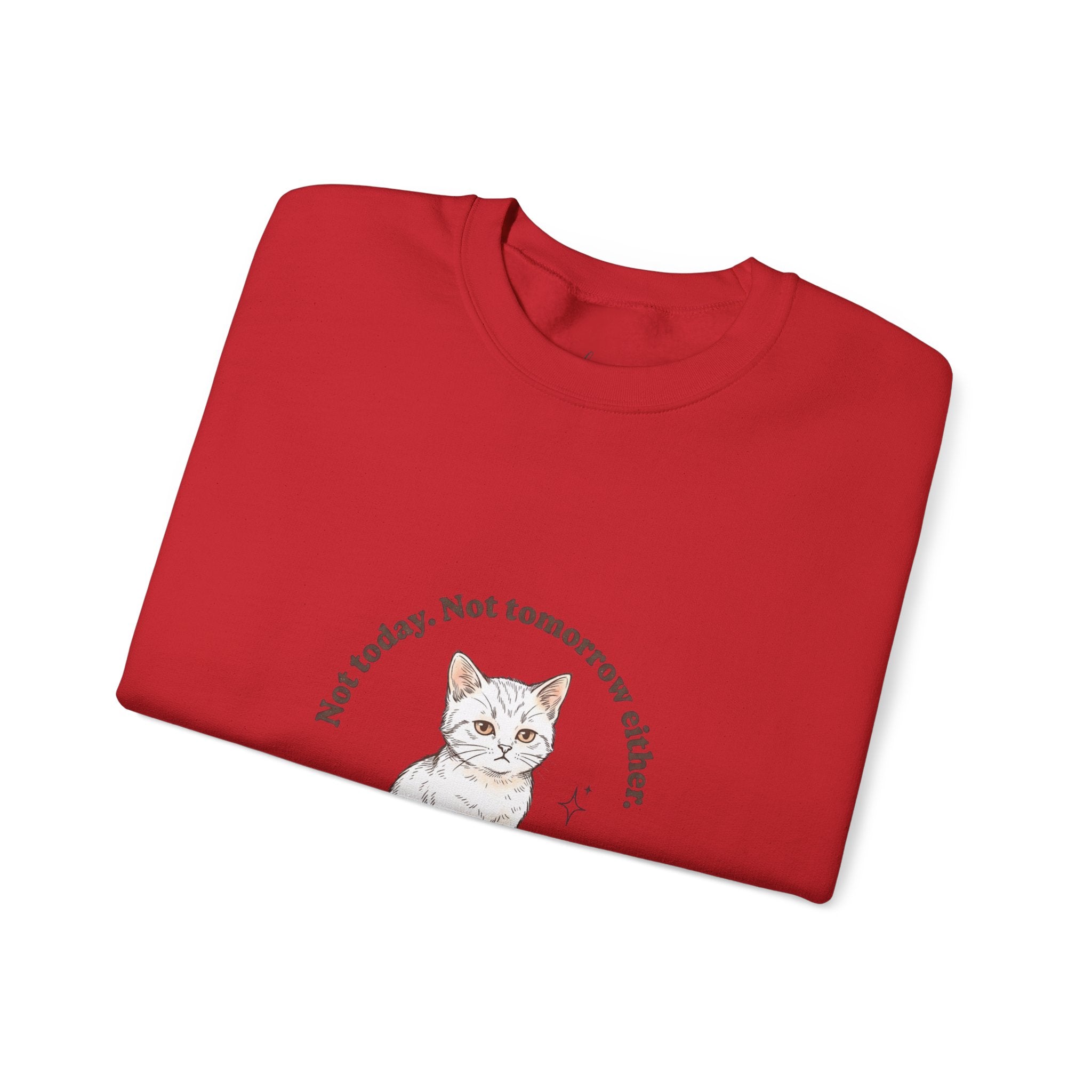 Rage Consumes Me Kitten Sweatshirt | Vintage Minimalist Cat, Ironic Emotion