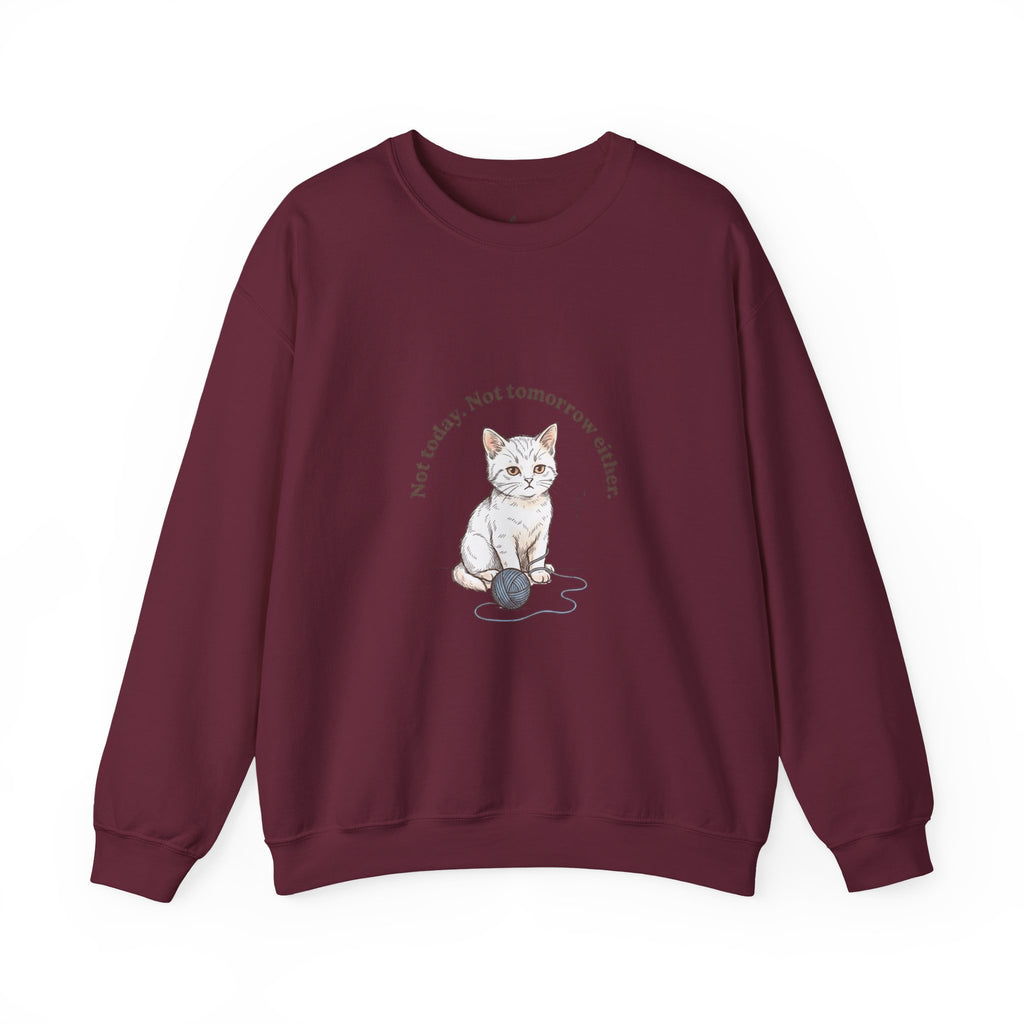 Rage Consumes Me Kitten Sweatshirt | Vintage Minimalist Cat, Ironic Emotion