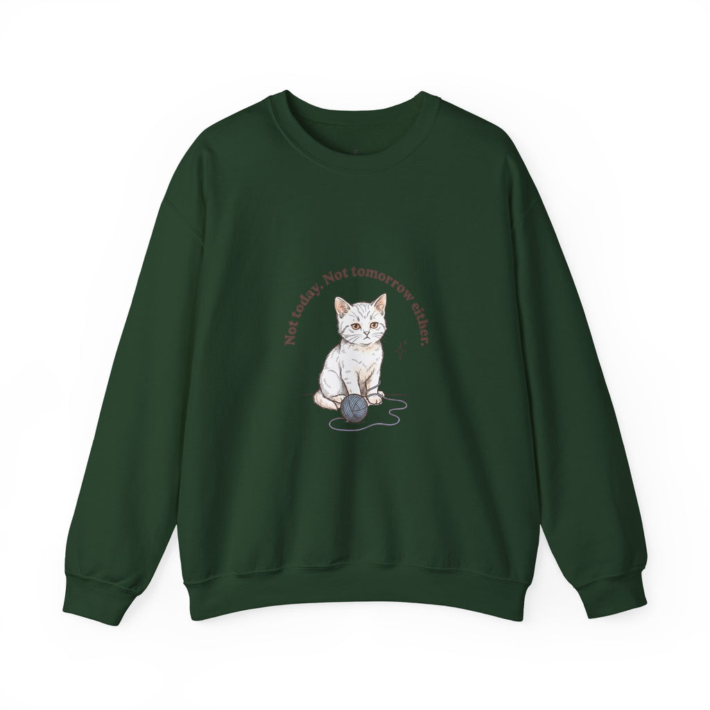 Rage Consumes Me Kitten Sweatshirt | Vintage Minimalist Cat, Ironic Emotion
