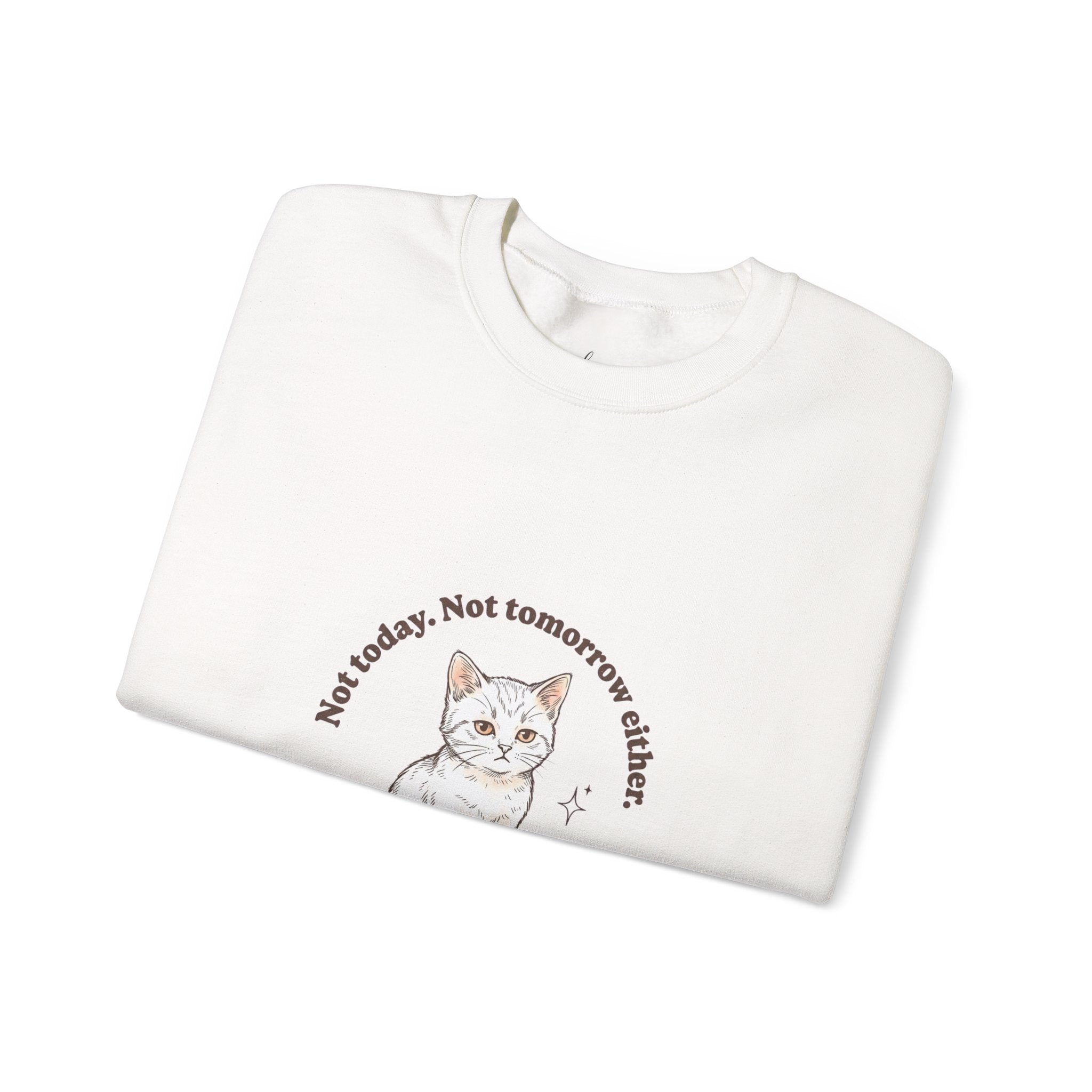 Rage Consumes Me Kitten Sweatshirt | Vintage Minimalist Cat, Ironic Emotion