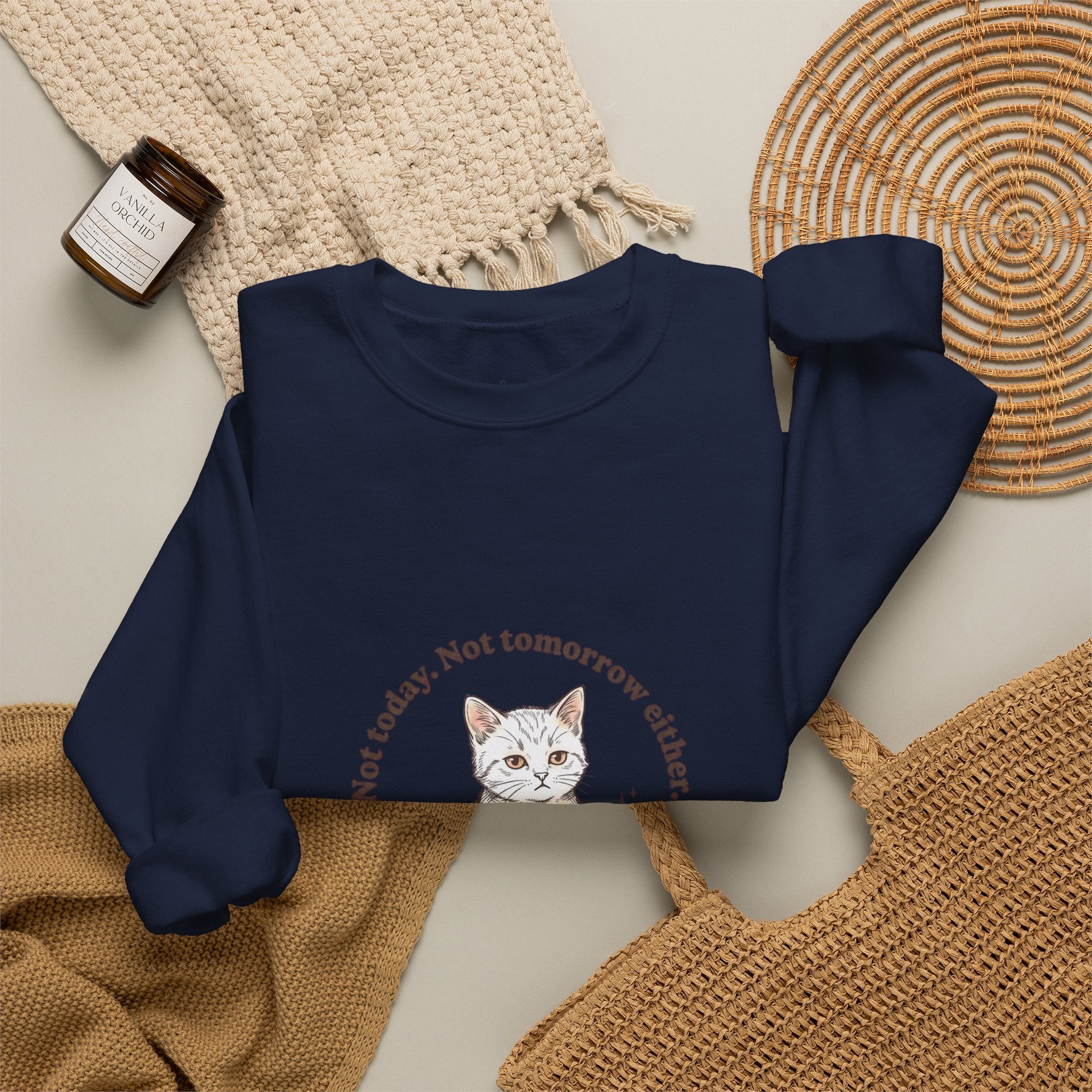 Rage Consumes Me Kitten Sweatshirt | Vintage Minimalist Cat, Ironic Emotion