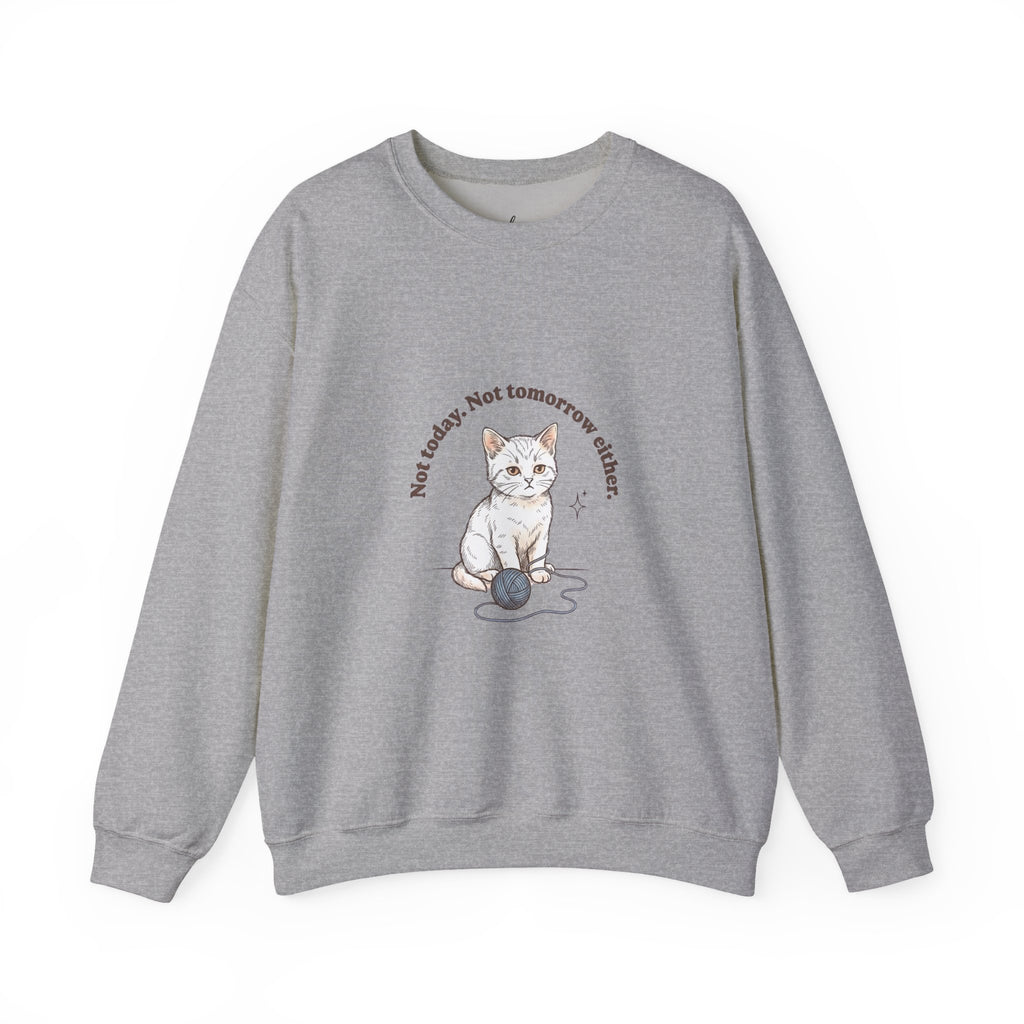 Rage Consumes Me Kitten Sweatshirt | Vintage Minimalist Cat, Ironic Emotion