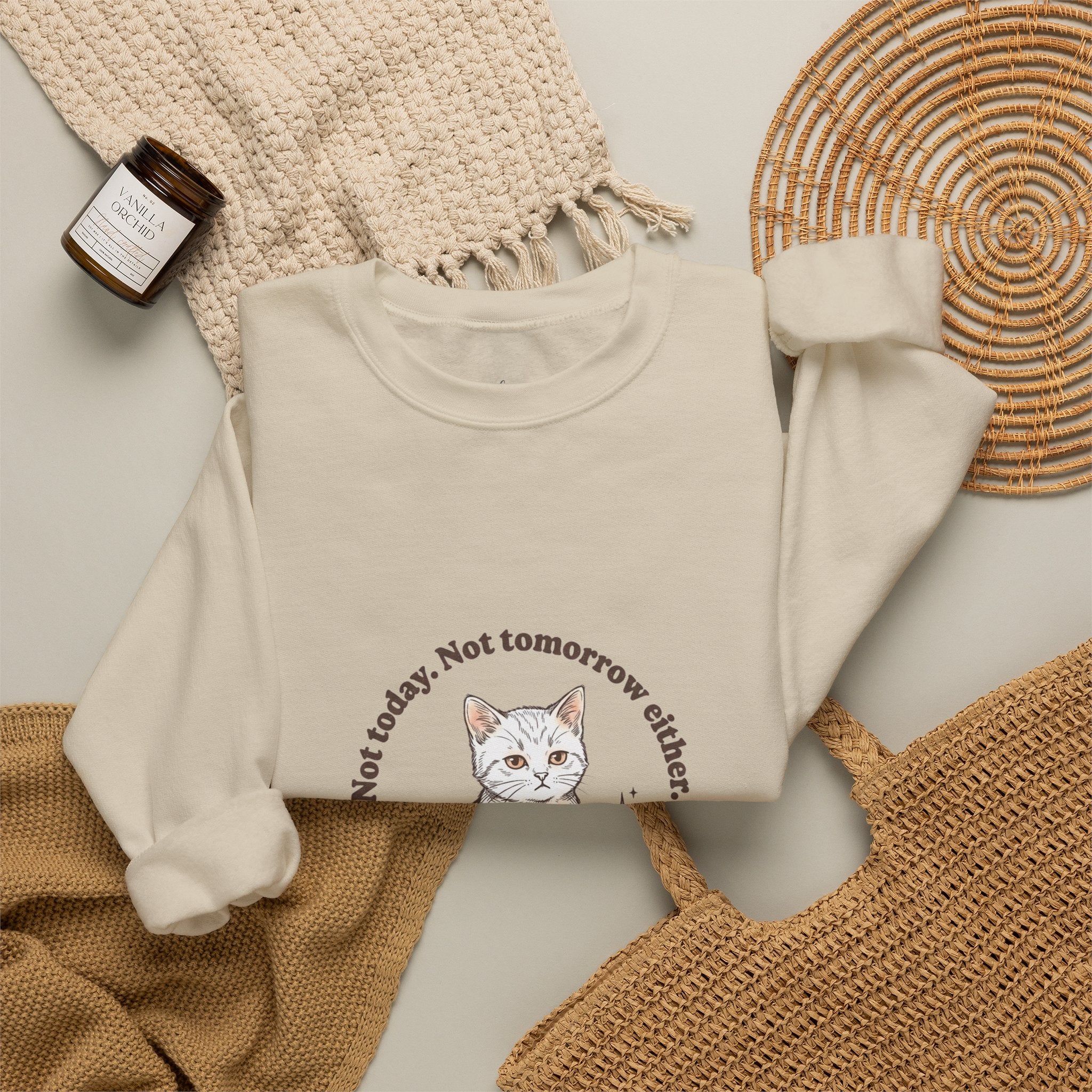 Rage Consumes Me Kitten Sweatshirt | Vintage Minimalist Cat, Ironic Emotion
