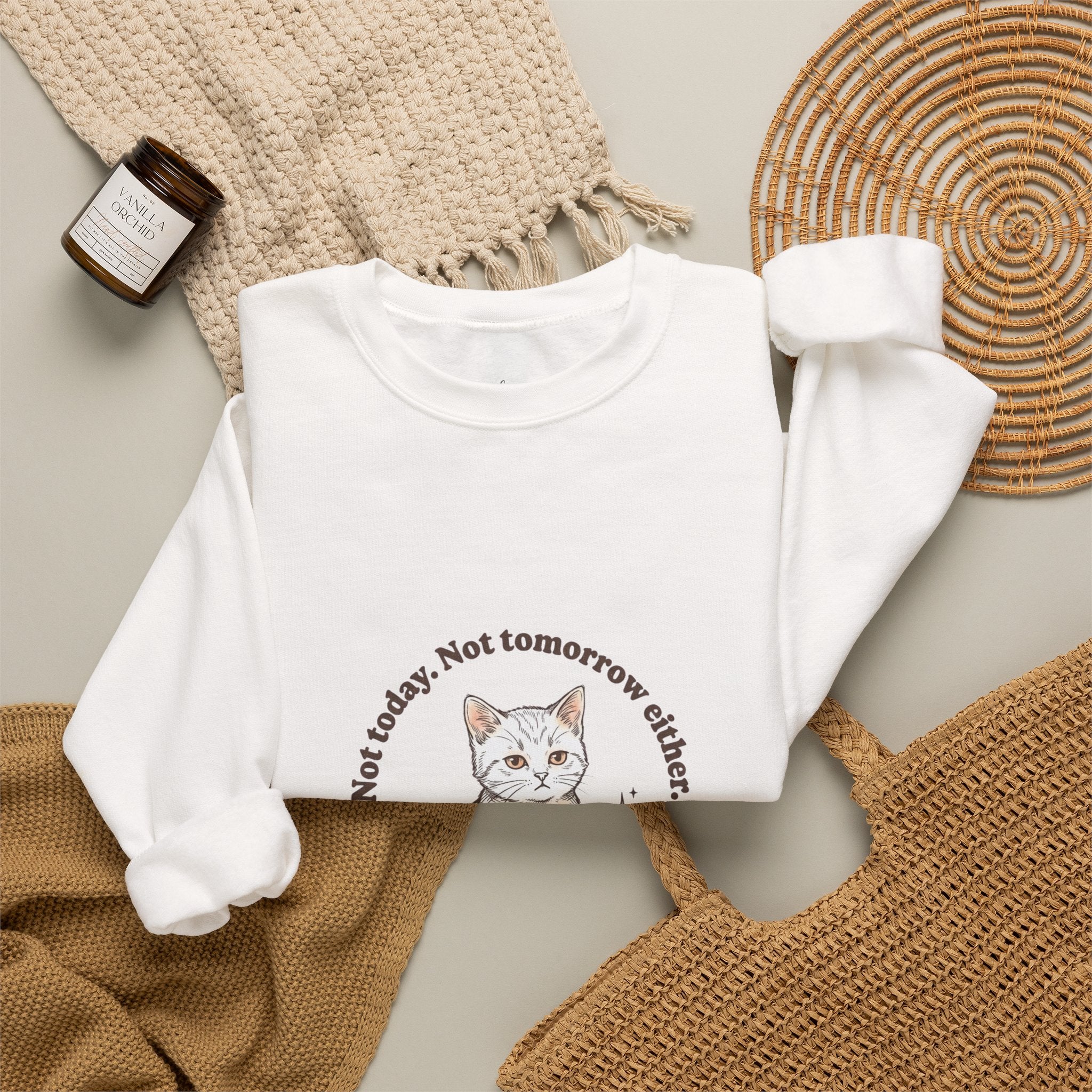 Rage Consumes Me Kitten Sweatshirt | Vintage Minimalist Cat, Ironic Emotion