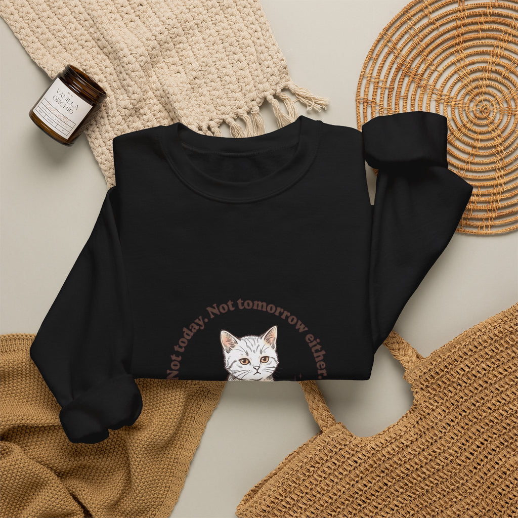 Rage Consumes Me Kitten Sweatshirt | Vintage Minimalist Cat, Ironic Emotion