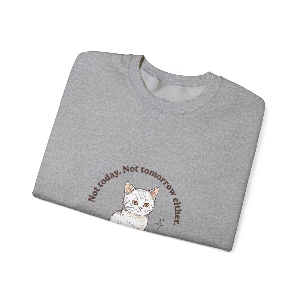 Rage Consumes Me Kitten Sweatshirt | Vintage Minimalist Cat, Ironic Emotion