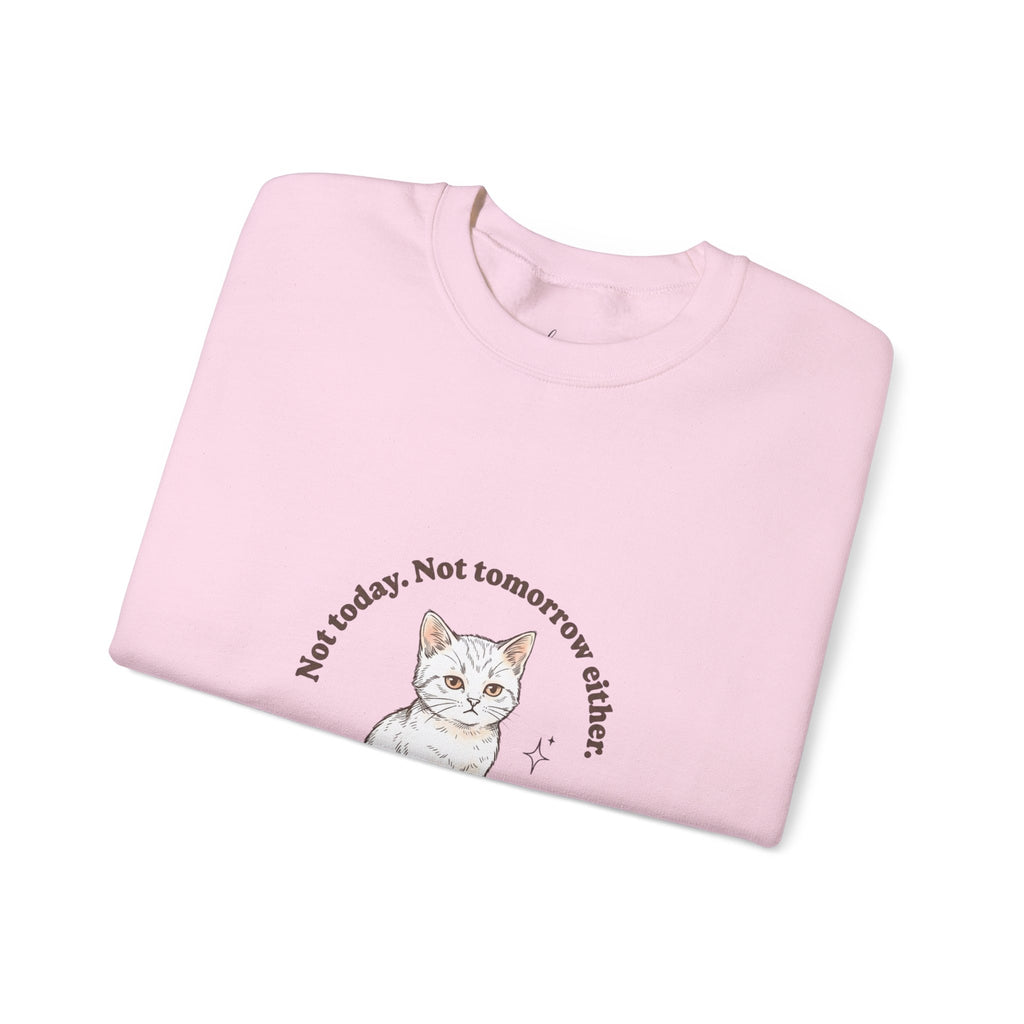 Rage Consumes Me Kitten Sweatshirt | Vintage Minimalist Cat, Ironic Emotion