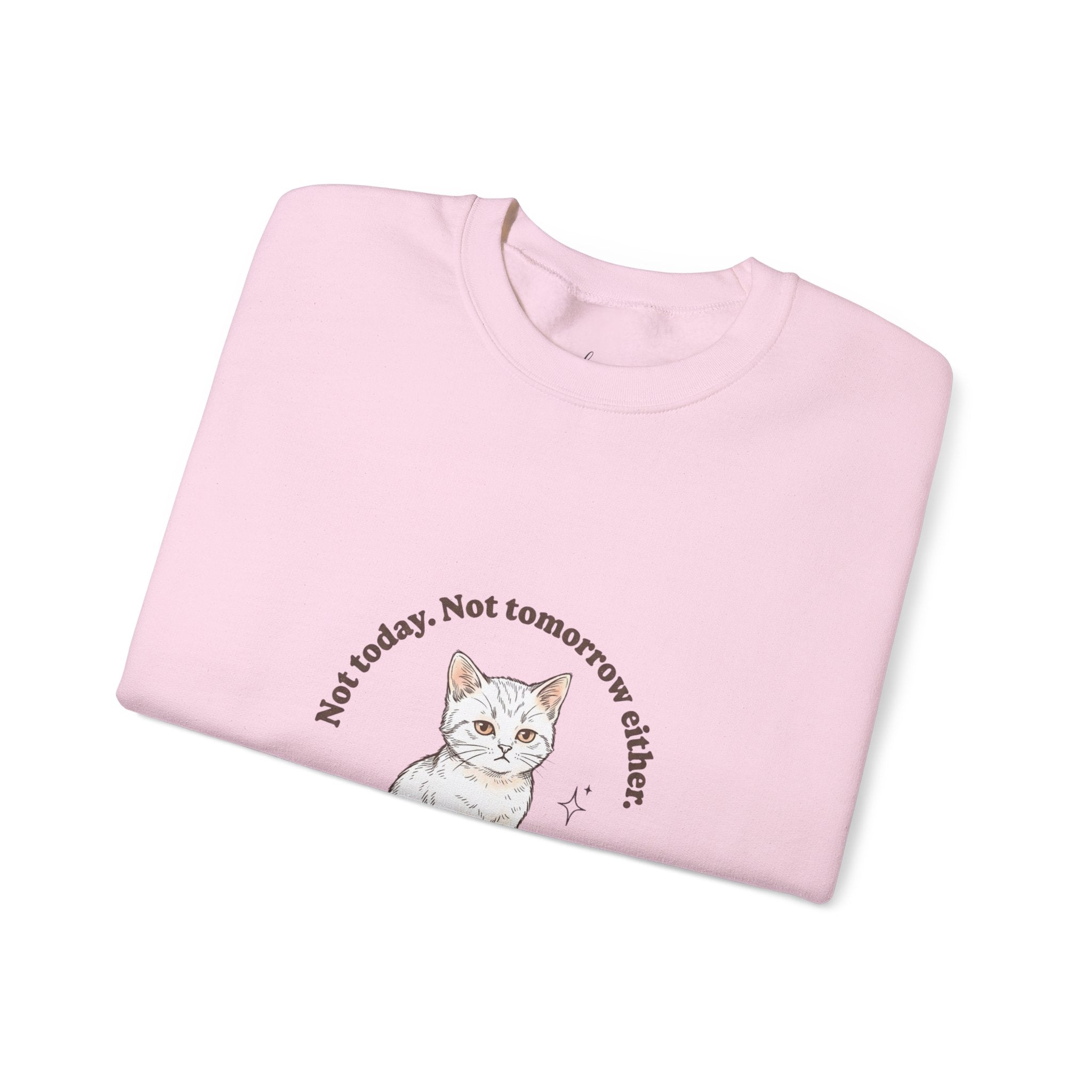 Rage Consumes Me Kitten Sweatshirt | Vintage Minimalist Cat, Ironic Emotion