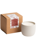 Spiced Cider Cement Candle